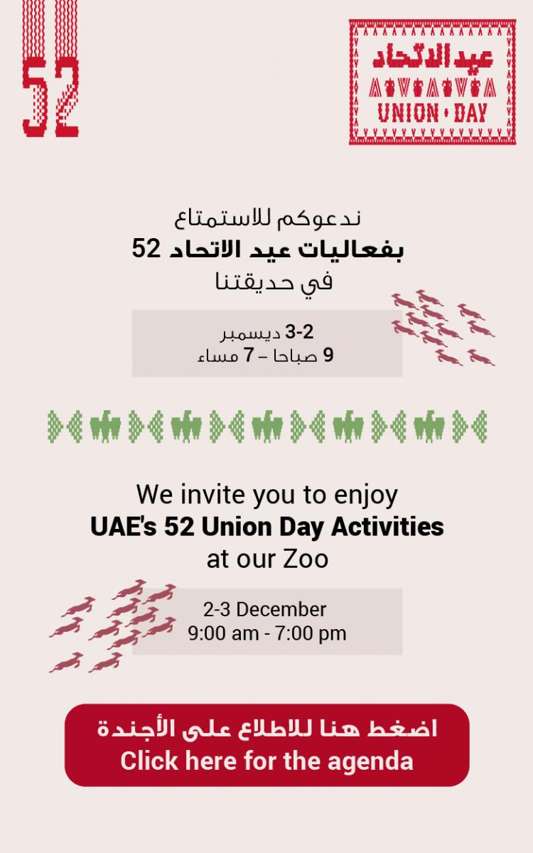 UAE52