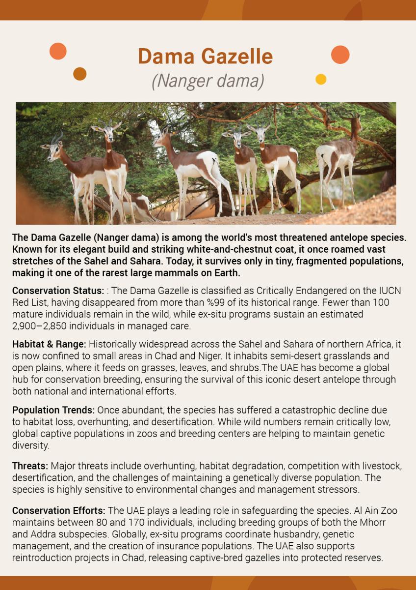 IUCN-Dama
