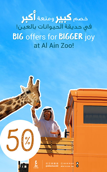 50%summerdiscount